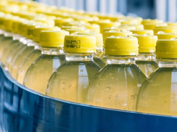 How does BRCGS packaging Consultant help you in Flexible&nbsp;Packaging?