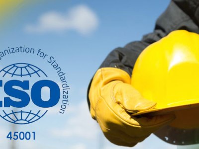 When and Why Do You Need an ISO 14001&nbsp;Consultants?