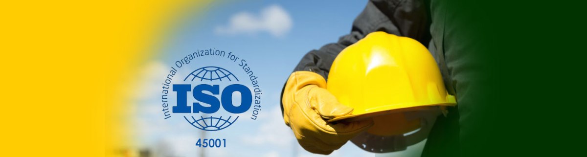 When and Why Do You Need an ISO 14001&nbsp;Consultants?